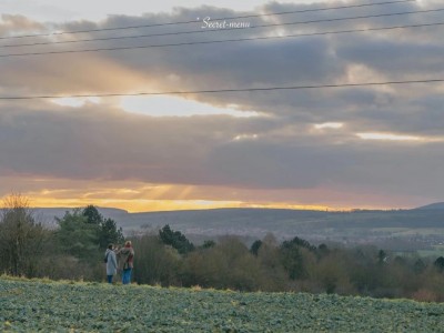 按照大自然的规律你该遇到“我”了