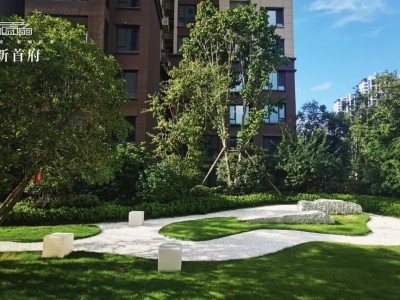 双层空间 百变生活|高新首府奢适底跃延伸生活的百般想象!