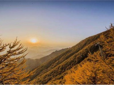 落叶纷飞里，邂逅一场诗风秋韵