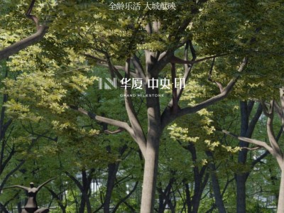 华厦|中央·印——用大城的广博与底蕴，让未来繁茂生长！---U房在线