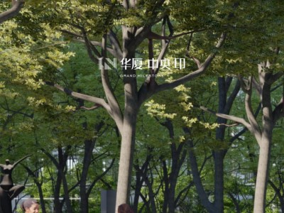 华厦|中央·印——宝鸡最有范儿的社区 ，致献峯层最值期待的五种生活表情---U房在线