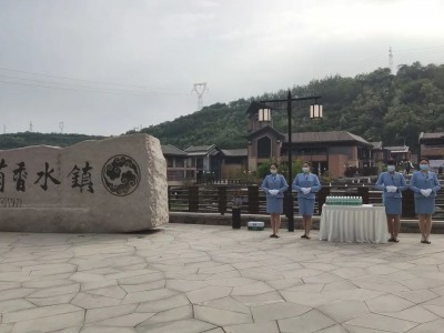 如意茵香美好兑现！宏昇置业&世茂集团携手共筑醉美小镇——茵香水镇