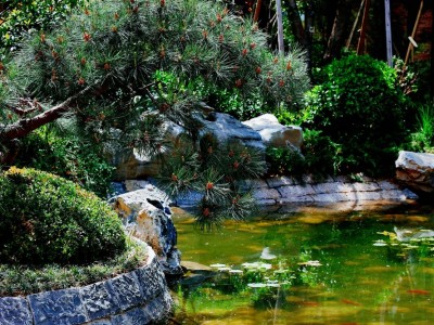 夏日将至，向山里寻“春”